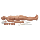 Maniquí de resucitación cardiopulmonar/traumatismo de cuerpo entero