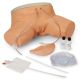 Simulador de Cateterismo Femenino Life/form®