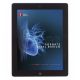 BLS Mnl. de Proveedor e-Book