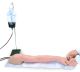 Advanced Multi-Venous IV & Injection Arm - Light Skin Tone