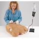 Simulador de pericardiocentesis Life/form® con tubo torácico y neumotórax