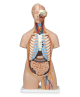Torso clásico unisex con cuello y espalda abiertos