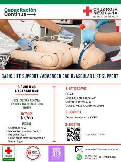 Basic life support / Advanced cardiovascular life support